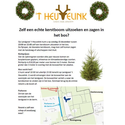 Zelf een kerstboom uitzoeken