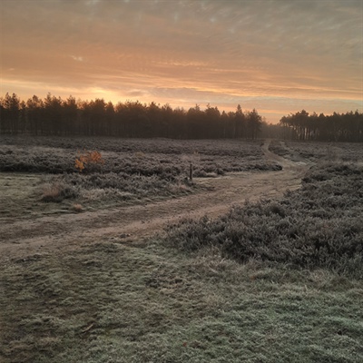 Natuur en recreatie op Arnhemse Veluwe