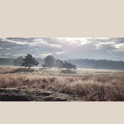 Plannen Defensie oefenterrein Terletse Heide en Rozendaalse Veld