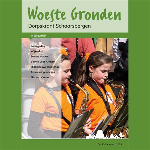 Woeste Gronden