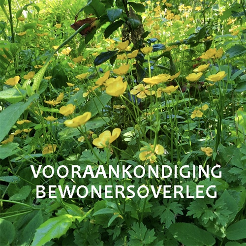 Bewonersoverleg Dorpsraad