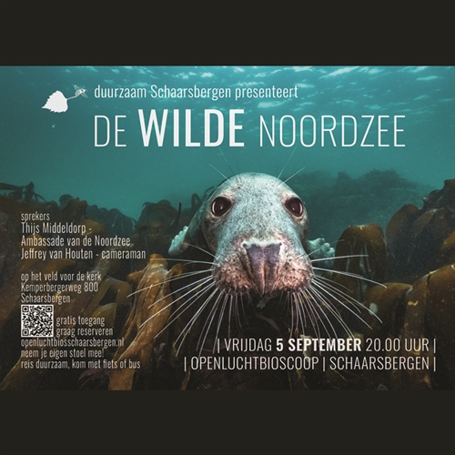 Openluchtbioscoop