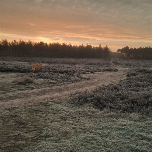 Informatie-avond Dorpendeal 16 april